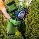 Water features: adding serenity to your landscape